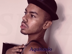Aquitanio