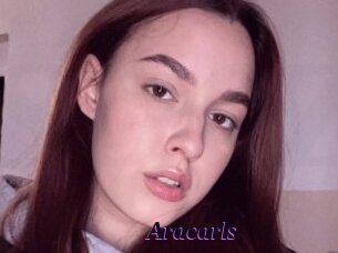 Aracarls