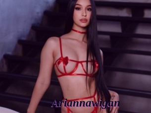 Ariannawigan