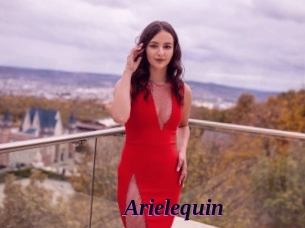 arielequin Spezial Sexcam