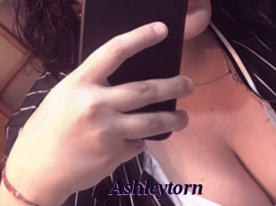 ashleytorn Spezial Sexcam