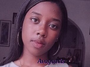 Avagarcis