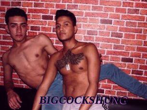 BIG_COCKS_HUNG