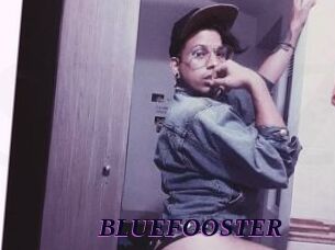 BLUEFOOSTER Spezial Sexcam