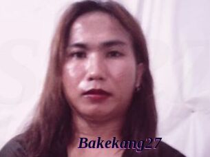 Bakekang27
