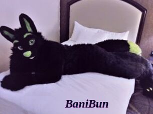 BaniBun