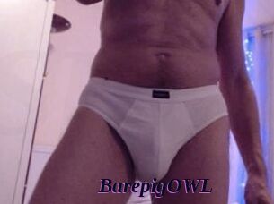 BarepigOWL