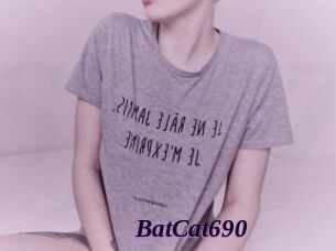 BatCat690