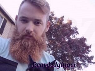 Beardedginger