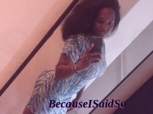 BecauseISaidSo
