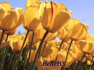 BelleB3