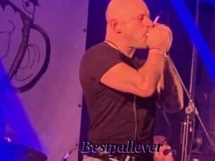 Bestpallever
