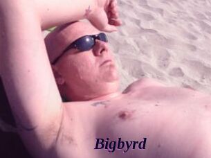 Bigbyrd