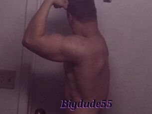 Bigdude55