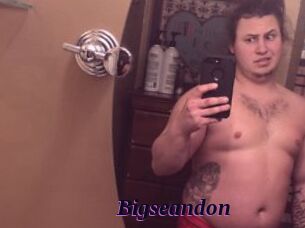 Bigseandon