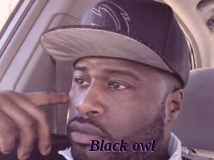Black_owl