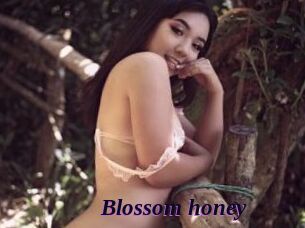 Blossom_honey