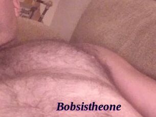 Bobsistheone