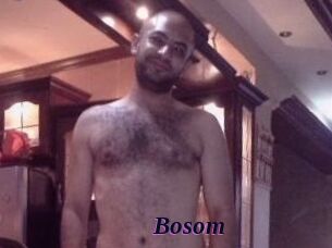 Bosom