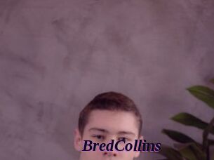 BredCollins