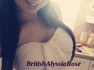 BritishAlyssiaRose