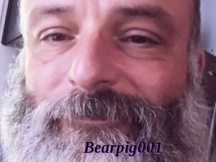Bearpig001