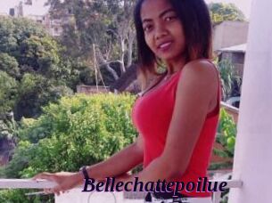 Bellechattepoilue