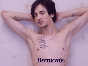 Bernicute
