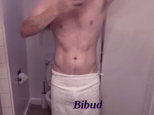 Bibud