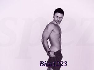 Bica1223