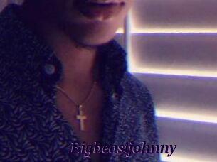 Bigbeastjohnny