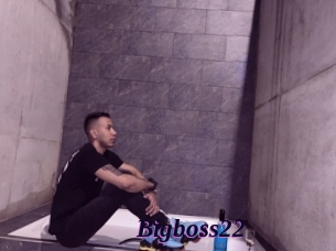 Bigboss22