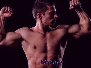 Bigboyx
