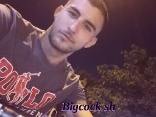 Bigcock_sh