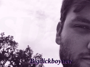 Bigdickboynew
