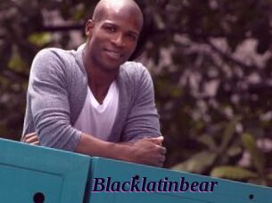 Blacklatinbear