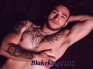 blakeking0102 Spezial Sexcam