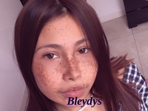 Bleydys