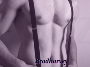 Bradharvey