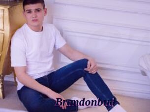 Brandonbud