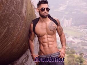 Brandonnt