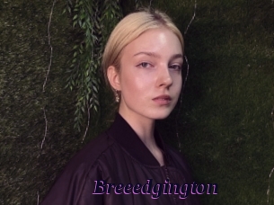 breeedgington Spezial Sexcam
