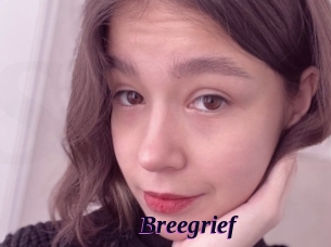 Breegrief