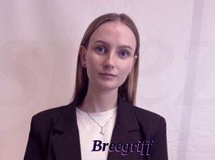 Breegriff