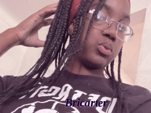 Bricarter
