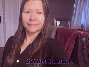 Bridget_banderro