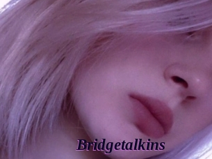 Bridgetalkins
