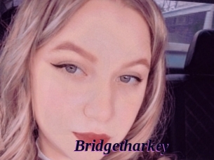 Bridgetharkey