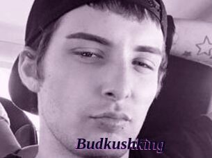 Budkushking