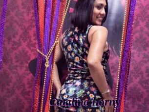 Catalina_horny